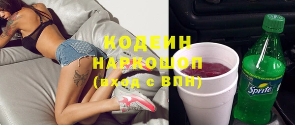 соль ск Инсар