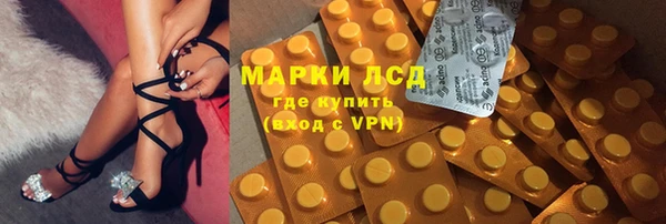 соль ск Инсар