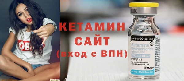 соль ск Инсар