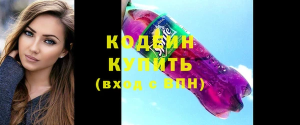 соль ск Инсар