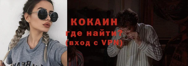соль ск Инсар