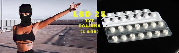 соль ск Инсар
