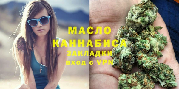 соль ск Инсар