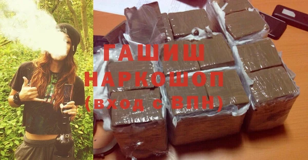 соль ск Инсар