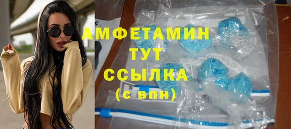 соль ск Инсар