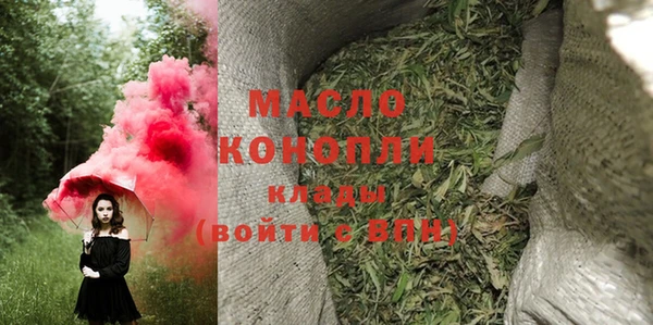 соль ск Инсар