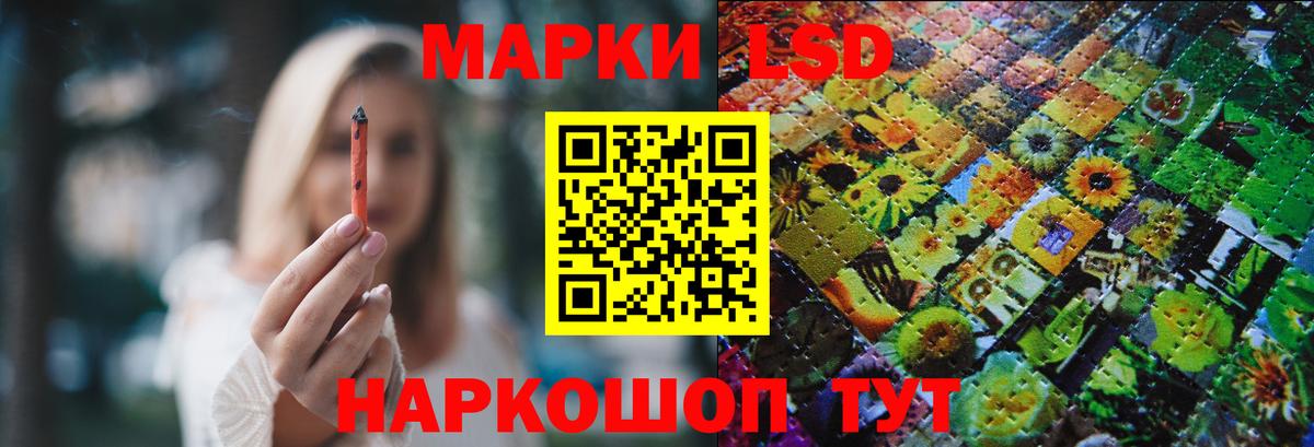 LSD-25 экстази кислота  LSD-25 экстази кислота  Вход с VPN  Ноябрьск 