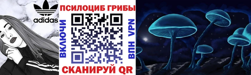 Галлюциногенные грибы Magic Shrooms  МЕГА ТОР  Ноябрьск  купить  