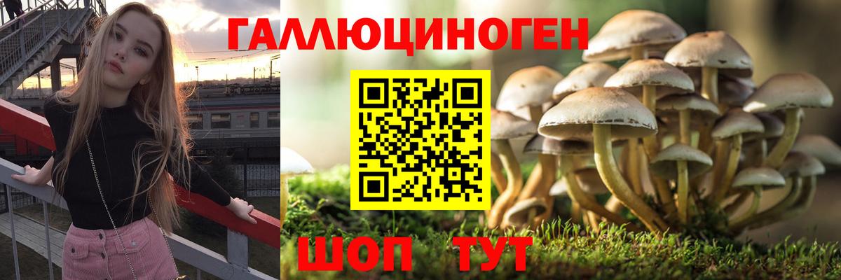 Псилоцибиновые грибы мухоморы  Вход с VPN  Ноябрьск  Галлюциногенные грибы GOLDEN TEACHER 