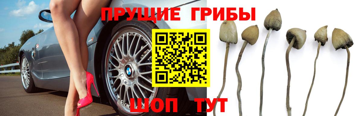 Галлюциногенные грибы ЛСД Ноябрьск